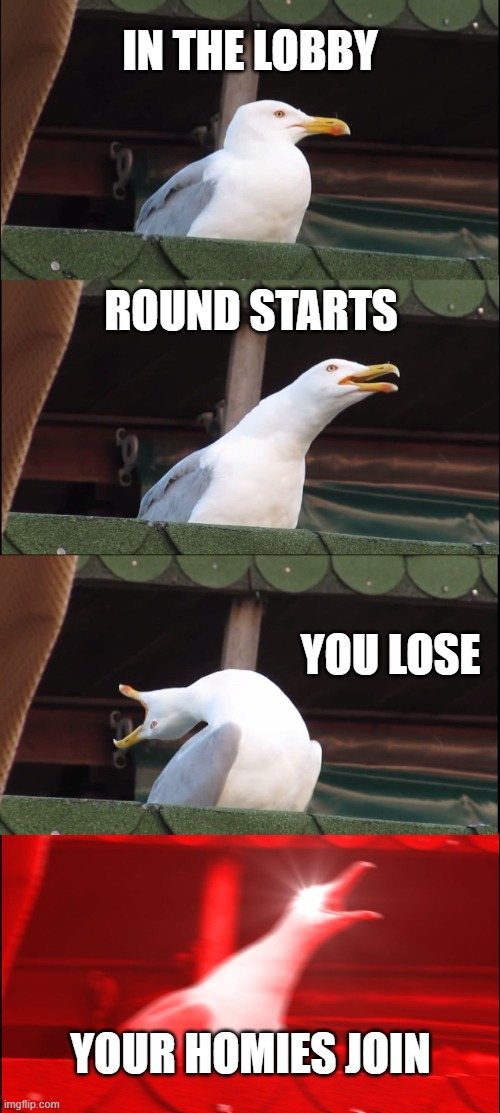 Inhaling Seagull | in the lobby; round starts; you lose; your homies join | image tagged in memes,inhaling seagull | made w/ Imgflip meme maker