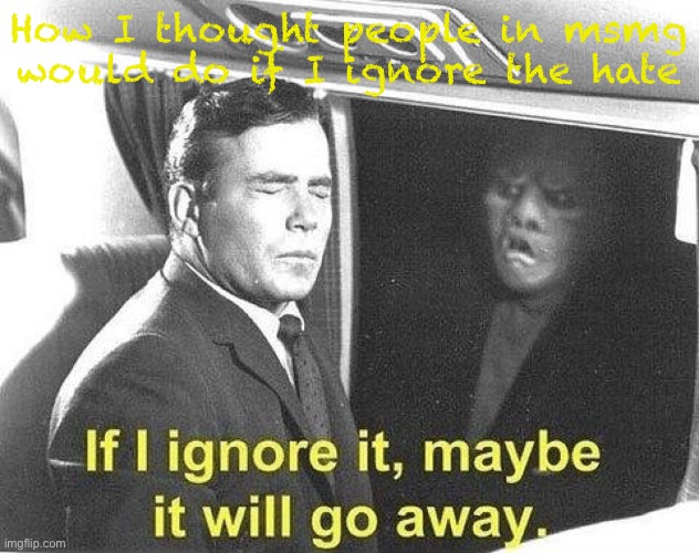 Ignore it go away | How I thought people in msmg would do if I ignore the hate | image tagged in ignore it go away | made w/ Imgflip meme maker