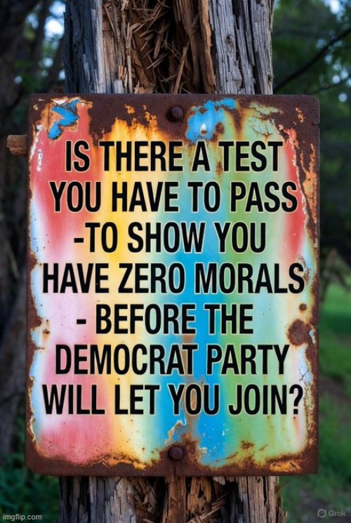 And ZERO sense? | image tagged in democrats,obviously,identity crisis,evil,upside down | made w/ Imgflip meme maker