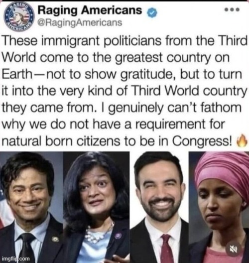 If you want the truth, here it is... | image tagged in americans,america,third world,obvious,haters gonna hate,democrats | made w/ Imgflip meme maker