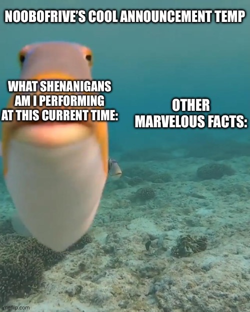 staring fish | Noobofrive’s Cool Announcement Temp What shenanigans am i performing at this current time: Other marvelous facts: | image tagged in staring fish | made w/ Imgflip meme maker