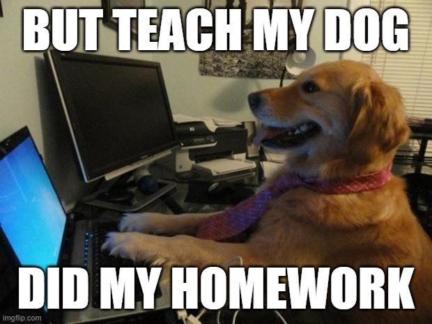 Dog behind a computer | but teach my dog; did my homework | image tagged in dog behind a computer | made w/ Imgflip meme maker