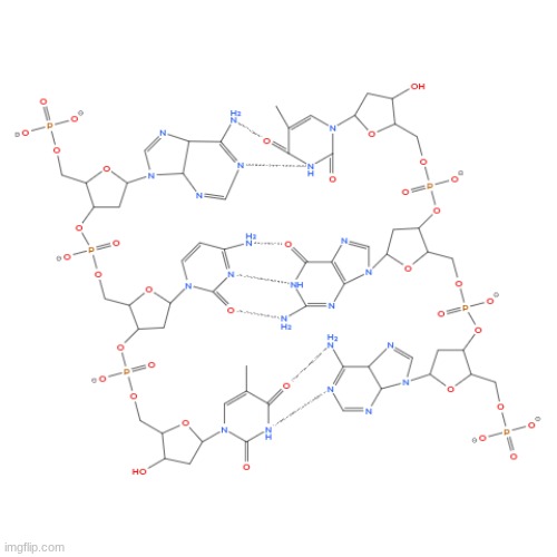 i'm gonna model my entire genome if this post gets 67,000 upvotes | made w/ Imgflip meme maker
