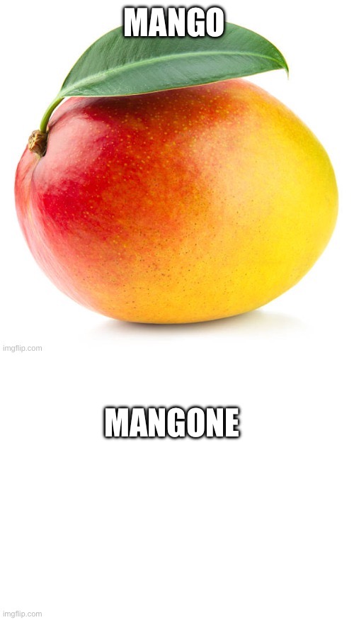 Mango | Mango; Mangone | image tagged in mango,blank white template,gone,bad pun | made w/ Imgflip meme maker