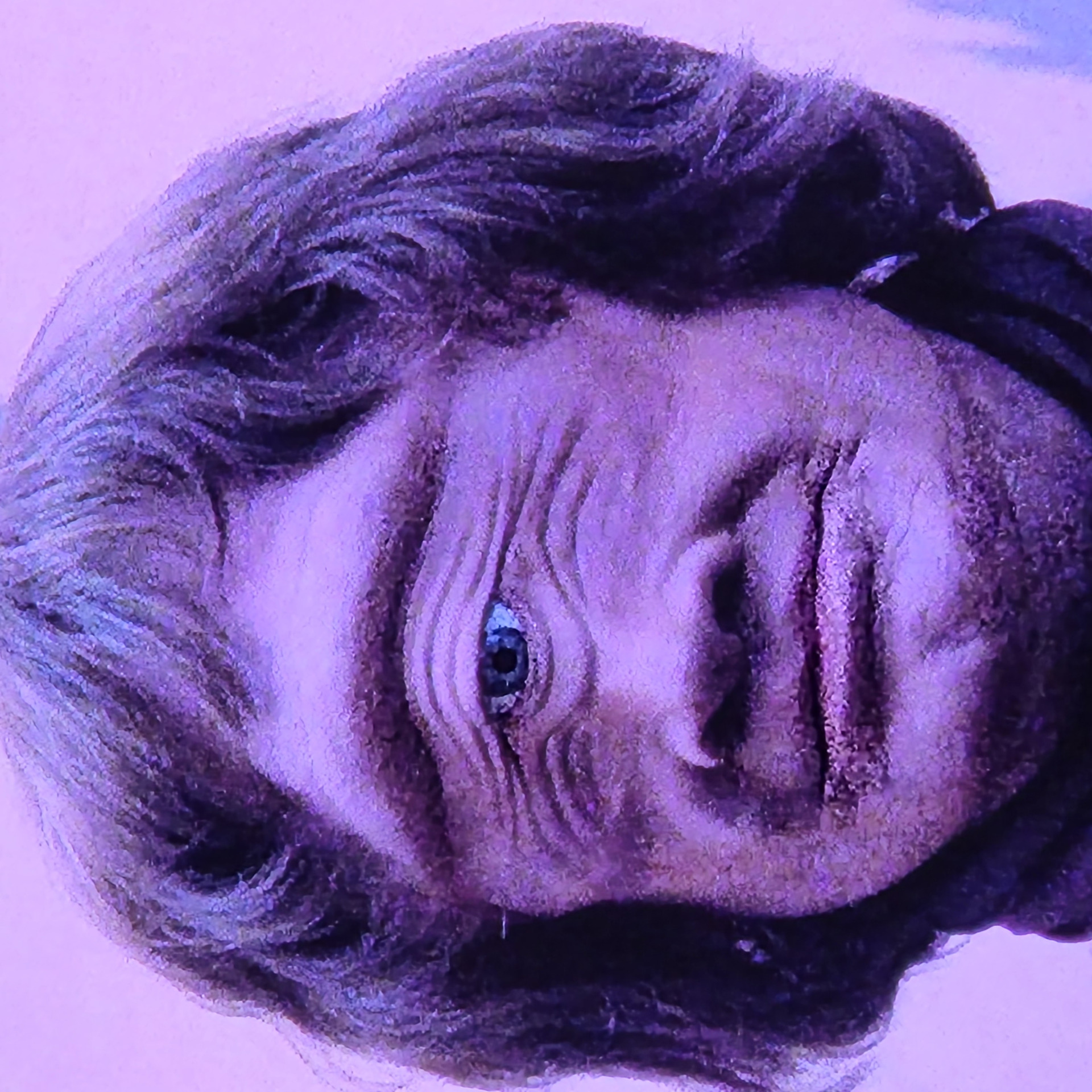 Krull . Doubt it. Blank Meme Template
