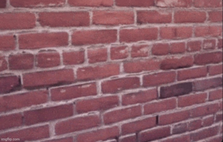 Just a wall. | made w/ Imgflip meme maker