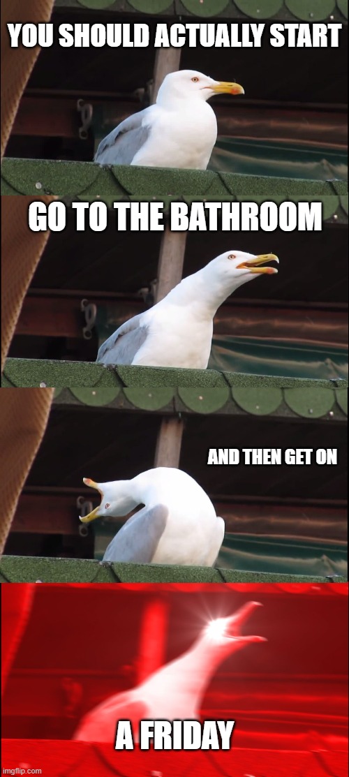 Let's go to the bathroom on a Friday | you should actually start; go to the bathroom; and then get on; a friday | image tagged in memes,inhaling seagull,funny | made w/ Imgflip meme maker
