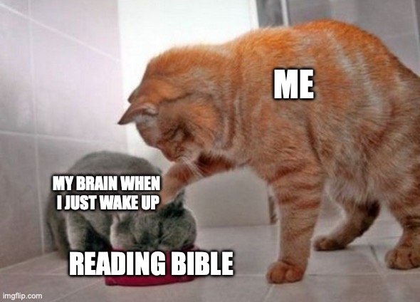 Force feed cat | Me; My brain when 
i just wake up; Reading Bible | image tagged in force feed cat | made w/ Imgflip meme maker