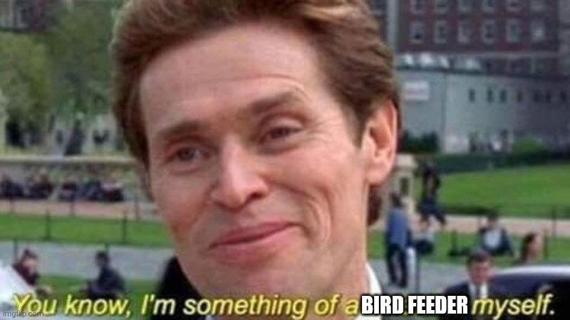 i'm a bit of a scientist myself | bird feeder | image tagged in i'm a bit of a scientist myself | made w/ Imgflip meme maker