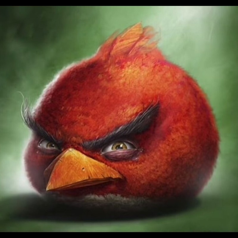 Angry Bird Big Red Blank Meme Template