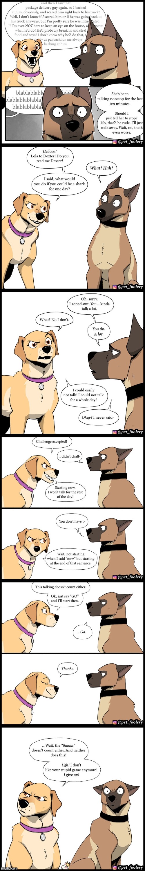 image tagged in dogs,talk,talking,stop,stop talking,fail | made w/ Imgflip meme maker