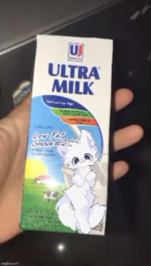 @modbot analyse this image | image tagged in furry milk carton | made w/ Imgflip meme maker