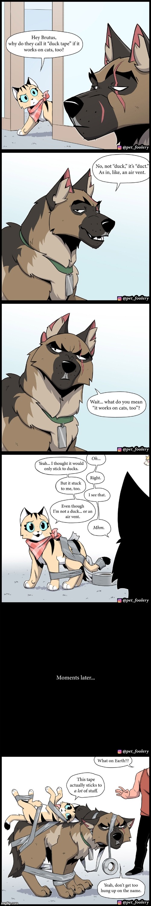 image tagged in cat,dog,tape,duct tape,stuck,oof | made w/ Imgflip meme maker