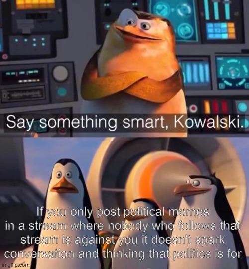 Why I post in the politics stream. | If you only post political memes in a stream where nobody who follows that stream is against you it doesn't spark conversation and thinking that politics is for | image tagged in say something smart kowalski,politics | made w/ Imgflip meme maker
