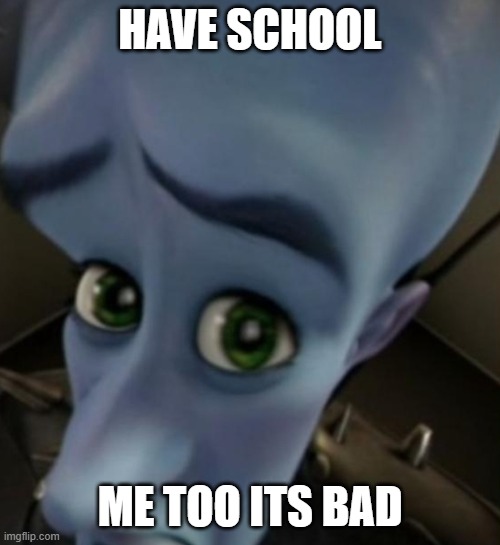 Have school | have school; me too its bad | image tagged in megamind no bitches | made w/ Imgflip meme maker