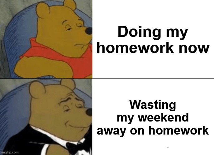 Procrastinating | Doing my homework now; Wasting my weekend away on homework | image tagged in memes,tuxedo winnie the pooh | made w/ Imgflip meme maker