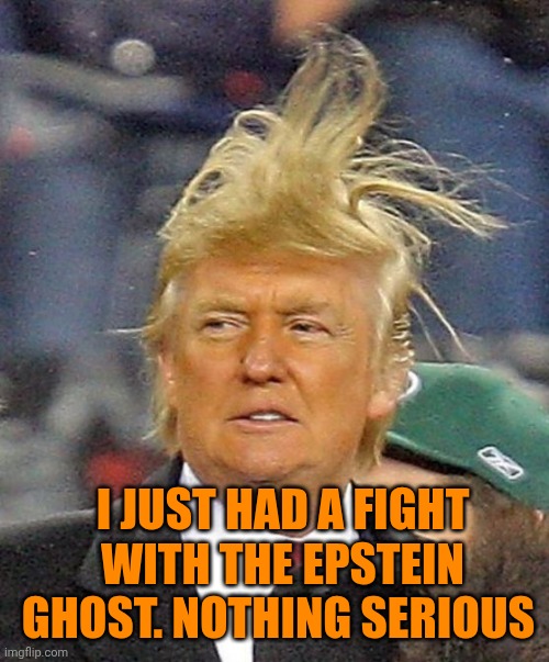 Donald Trump vs Epstein ghost | I just had a fight with the epstein ghost. Nothing serious | image tagged in donald trumph hair | made w/ Imgflip meme maker