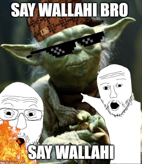 Star Wars Yoda | say wallahi bro; say wallahi | image tagged in memes,star wars yoda | made w/ Imgflip meme maker
