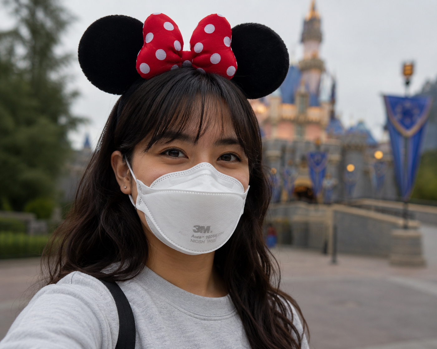 wear mask at disney Blank Meme Template