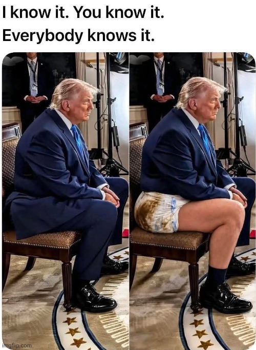 Diaper Don | image tagged in diaper,trump | made w/ Imgflip meme maker