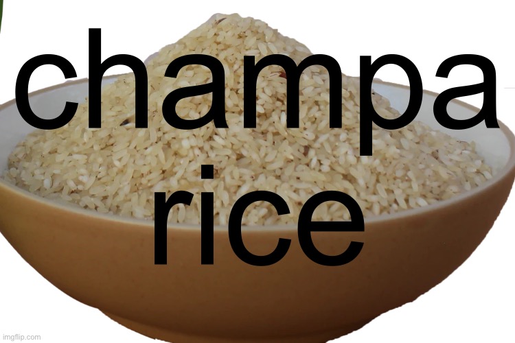 good luck to everyone (including me) doing apwh exams today | champa rice | image tagged in champa rice | made w/ Imgflip meme maker