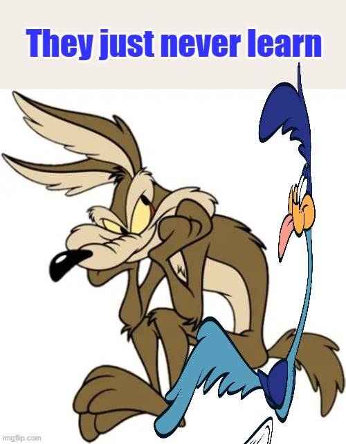 They just never learn | made w/ Imgflip meme maker