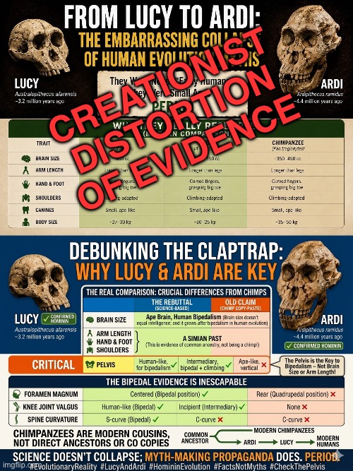 Creationist distortion of evidence | image tagged in img_4057 jpeg | made w/ Imgflip meme maker