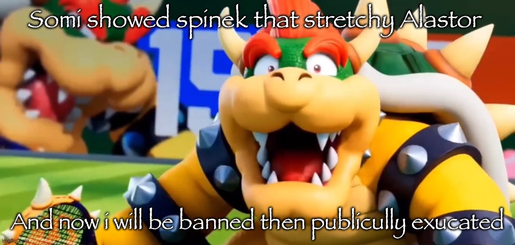 Bowser Shocked | Somi showed spinek that stretchy Alastor; And now i will be banned then publicully exucated | image tagged in bowser shocked | made w/ Imgflip meme maker