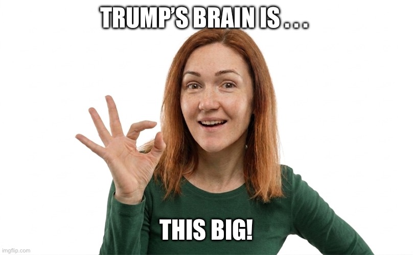 Young Woman Measuring Trump’s Brain | Trump’s brain is . . . This big! | image tagged in young woman,trump brain size,i hate donald trump,trump sucks | made w/ Imgflip meme maker