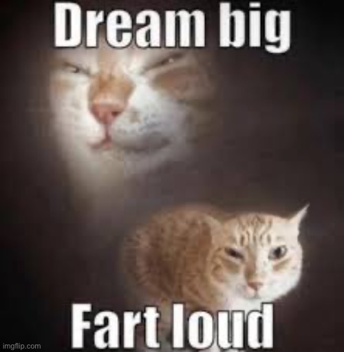 Dream big, fart loud | image tagged in dream big fart loud | made w/ Imgflip meme maker