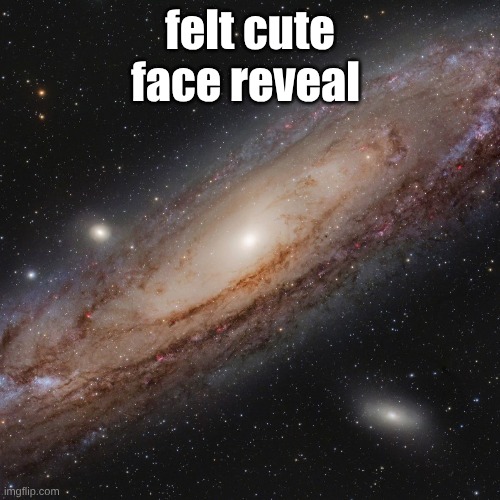felt cute
face reveal | made w/ Imgflip meme maker