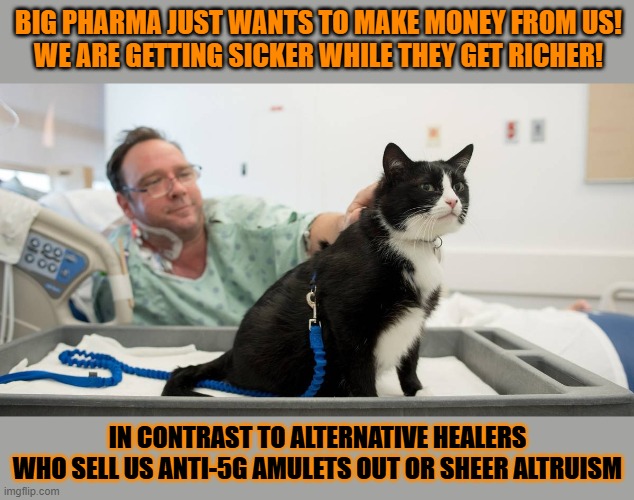 This #lolcat wonders if health should be a business model | Big pharma just wants to make money from us!
We are getting sicker while they get richer! In contrast to alternative healers
who sell us anti-5G amulets out or sheer altruism | image tagged in health,healthcare,lolcat,5g | made w/ Imgflip meme maker