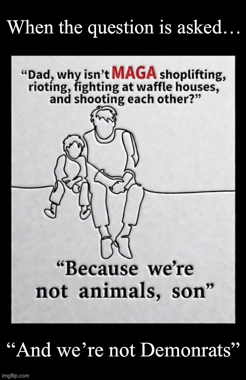 Most of those on the left who aren’t committing violent acts condone and support those who are | When the question is asked… | image tagged in political meme,why,maga,demonrats,the difference,not animals | made w/ Imgflip meme maker