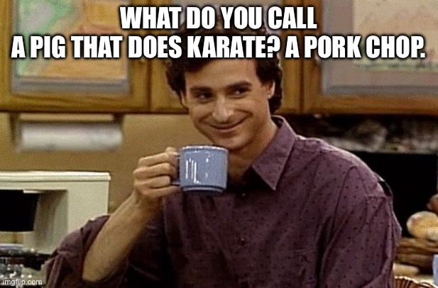 This one’s a knee slapper | What do you call a pig that does karate? A pork chop. | image tagged in dad joke | made w/ Imgflip meme maker