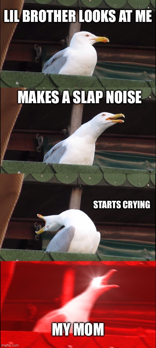 Inhaling Seagull Meme | Lil brother looks at me; Makes a slap noise; Starts crying; My mom | image tagged in memes,inhaling seagull | made w/ Imgflip meme maker