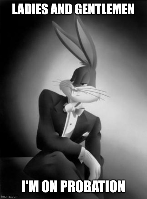 Bugs Bunny Ladies and Gentlemen | Ladies and gentlemen; I'm on probation | image tagged in bugs bunny ladies and gentlemen | made w/ Imgflip meme maker