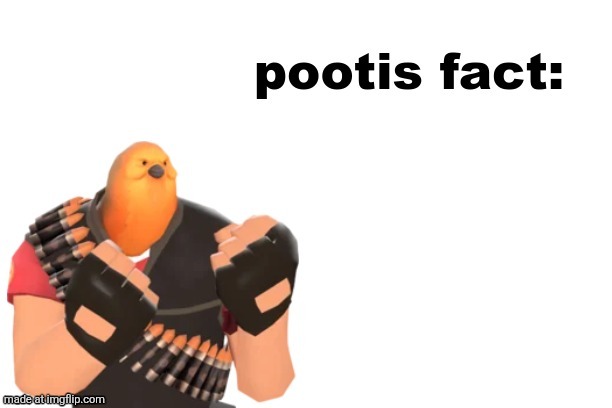 pootis fact | image tagged in pootis fact | made w/ Imgflip meme maker