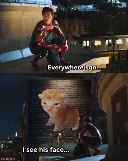 Everywhere I Go Spider-Man | image tagged in everywhere i go spider-man | made w/ Imgflip meme maker