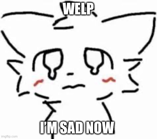 You, saw a sad meme, now I sad to | Welp; I’m sad now | image tagged in boykisser,depressing,depressed,sad,meme | made w/ Imgflip meme maker