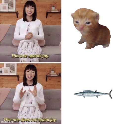 This one sparks joy | image tagged in this one sparks joy | made w/ Imgflip meme maker