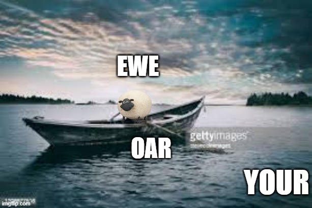 ewe oar your | image tagged in row boat | made w/ Imgflip meme maker
