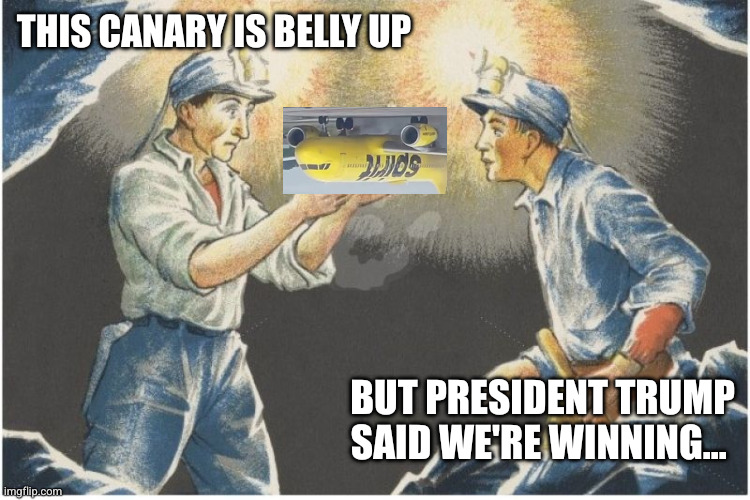 Things are taking a wrong turn... | This canary is belly up; But President Trump said we're winning... | image tagged in canary in coal mine,memes,spirit airlines,bankruptcy,donald trump,economy crashing | made w/ Imgflip meme maker