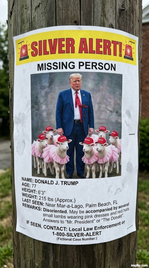 SILVER ALERT! | image tagged in silver,missing person,old people,angry old man,warning sign,political meme | made w/ Imgflip meme maker