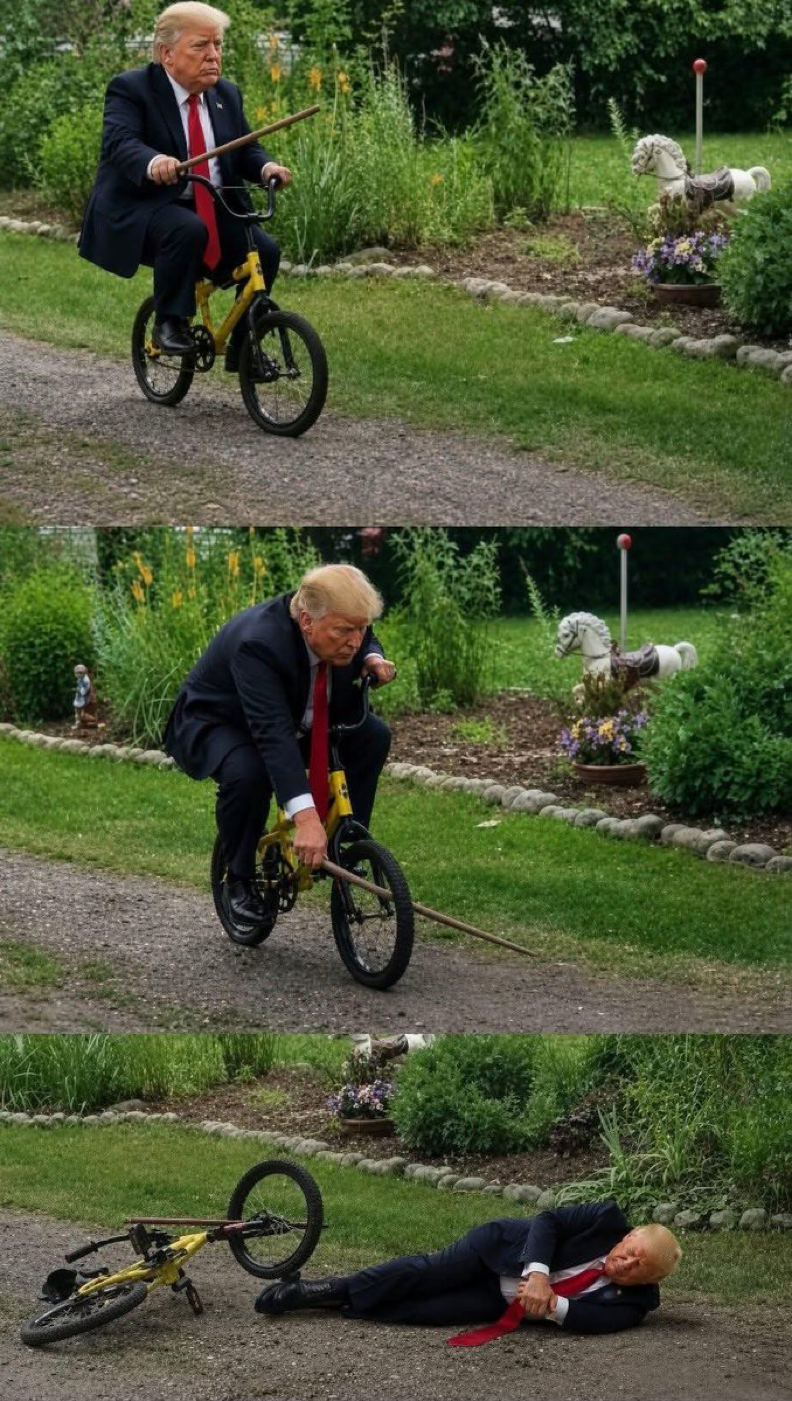 It’s a democrat hoax Blank Meme Template