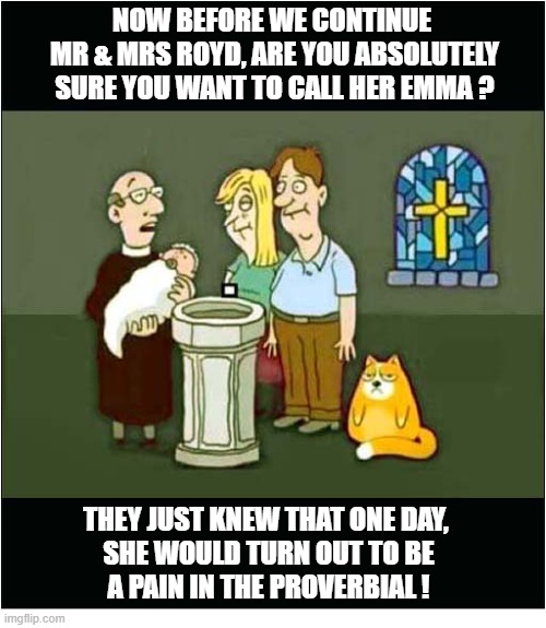 What's In Name ? | now before we continue
 mr & mrs royd, are you absolutely
 sure you want to call her emma ? They just knew that one day, 
she would turn out to be
a pain in the proverbial ! | image tagged in christening,name,hemorrhoids | made w/ Imgflip meme maker