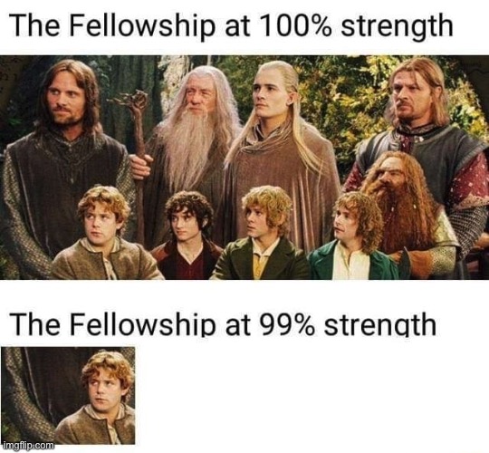 The Fellowship at 99 Percent | image tagged in the fellowship at 99 percent | made w/ Imgflip meme maker