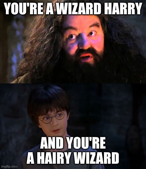 Burned | You're a wizard harry; And you're a Hairy Wizard | image tagged in you are wizzard harry | made w/ Imgflip meme maker
