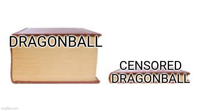 Go to your local library... it will prove it to you | Dragonball; Censored Dragonball | image tagged in big book small book,dragon ball | made w/ Imgflip meme maker