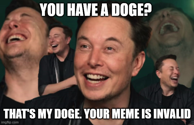 you have a doge? that's my doge. Your meme is invalid | image tagged in elon musk laughing | made w/ Imgflip meme maker