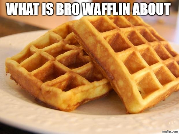 bro wafflin about | image tagged in bro wafflin about | made w/ Imgflip meme maker
